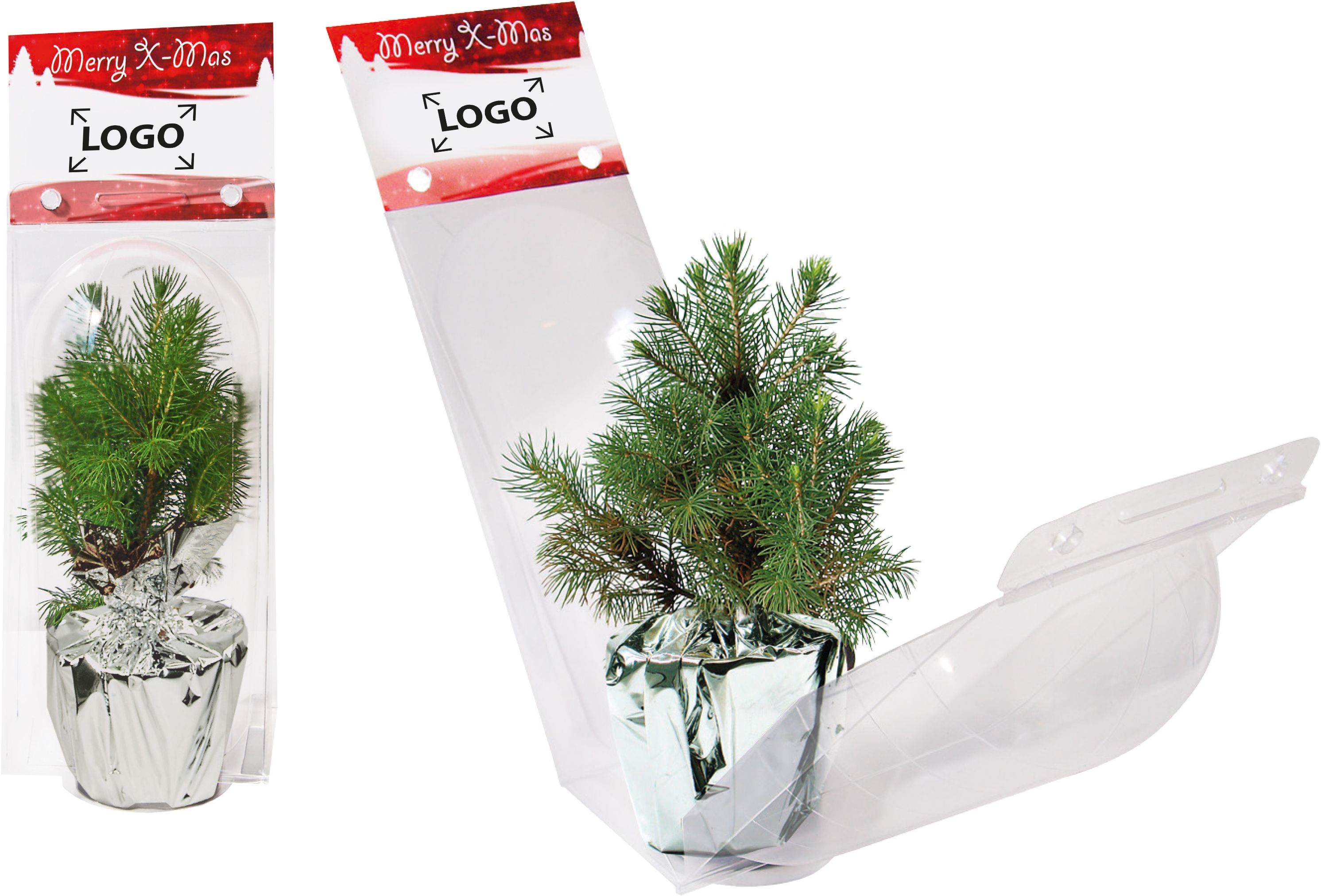 auf den Header (12,0 x 8,5 cm)