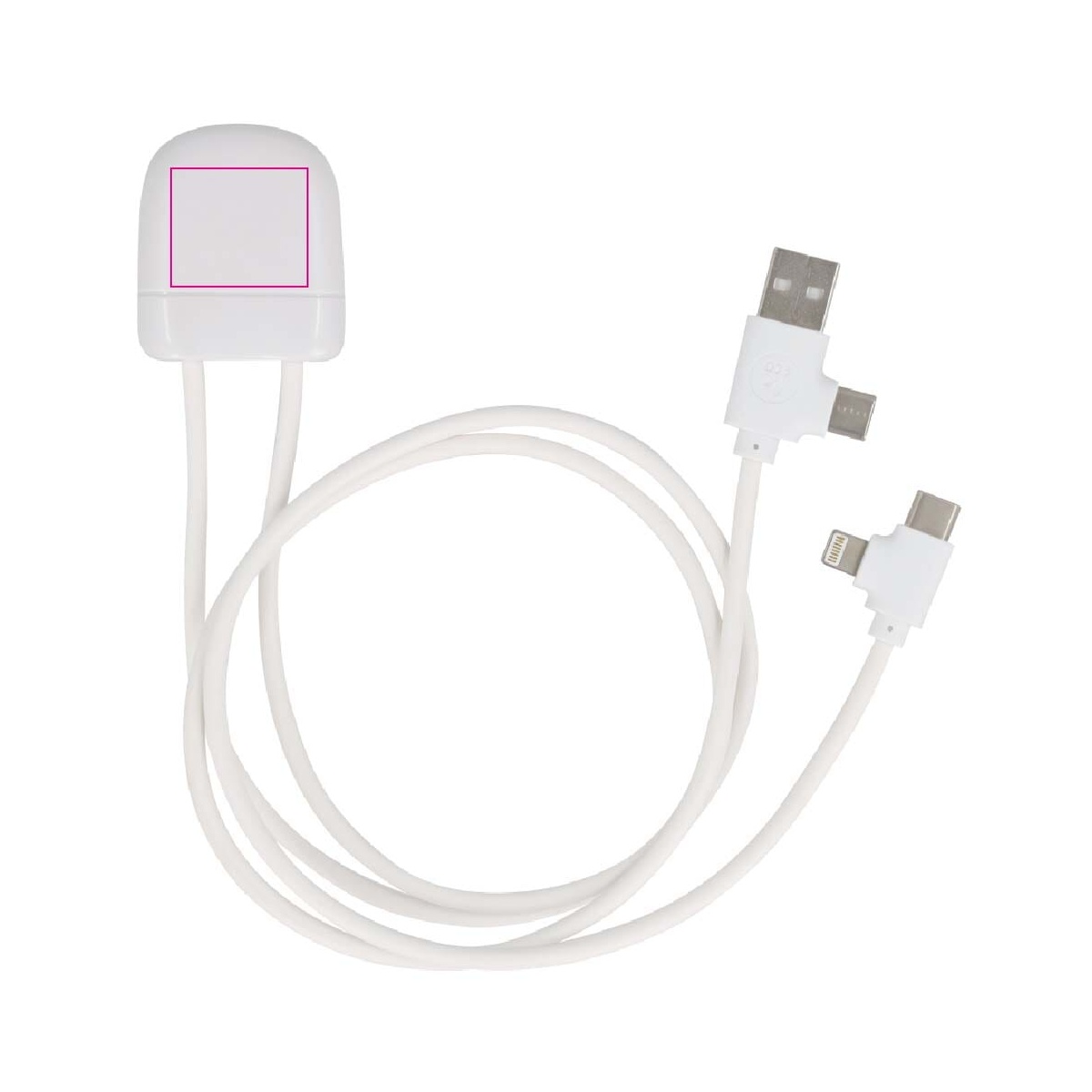 Seite 1 (20 x 23 mm)