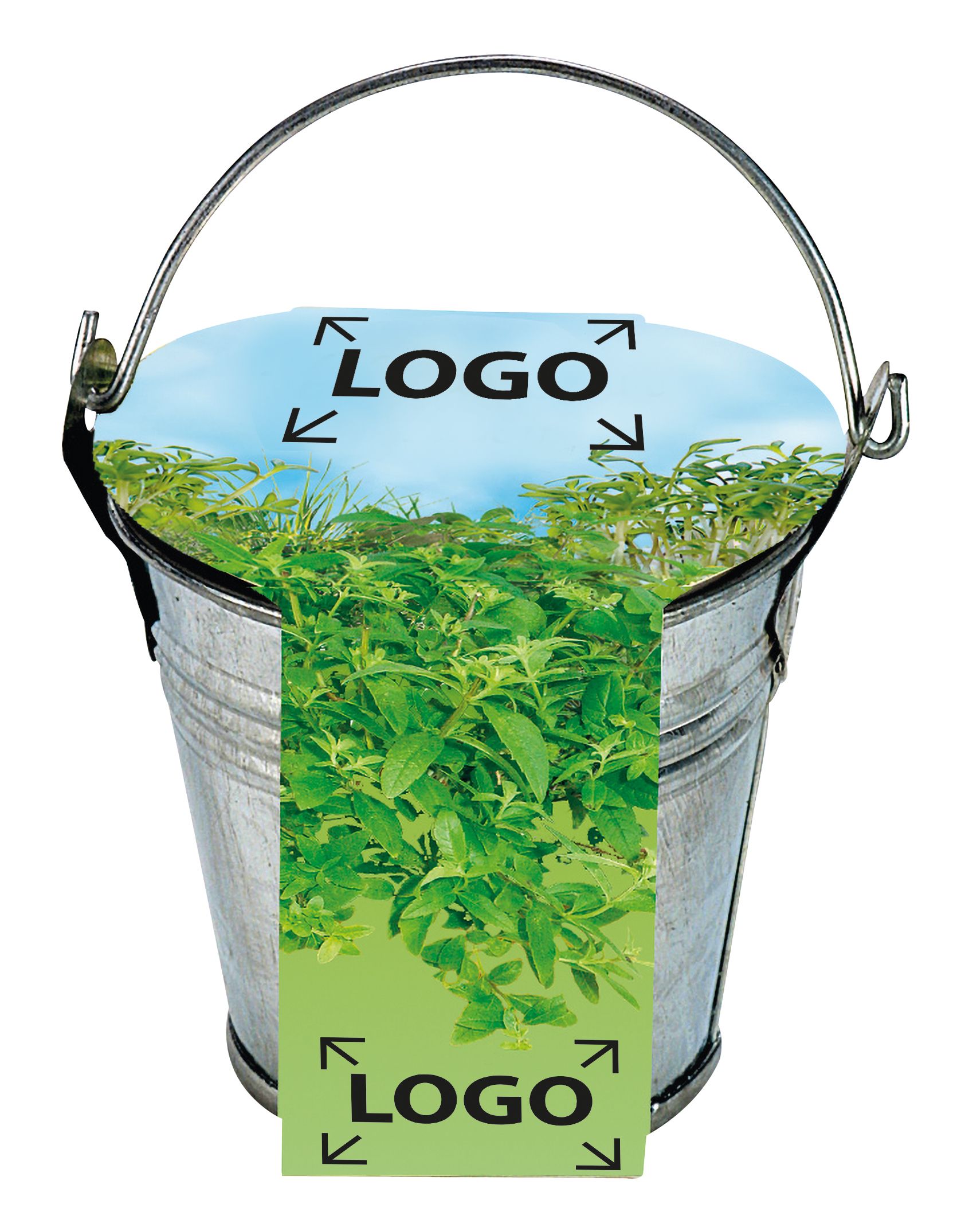 auf die Banderole (24,0 x 6,0 cm)