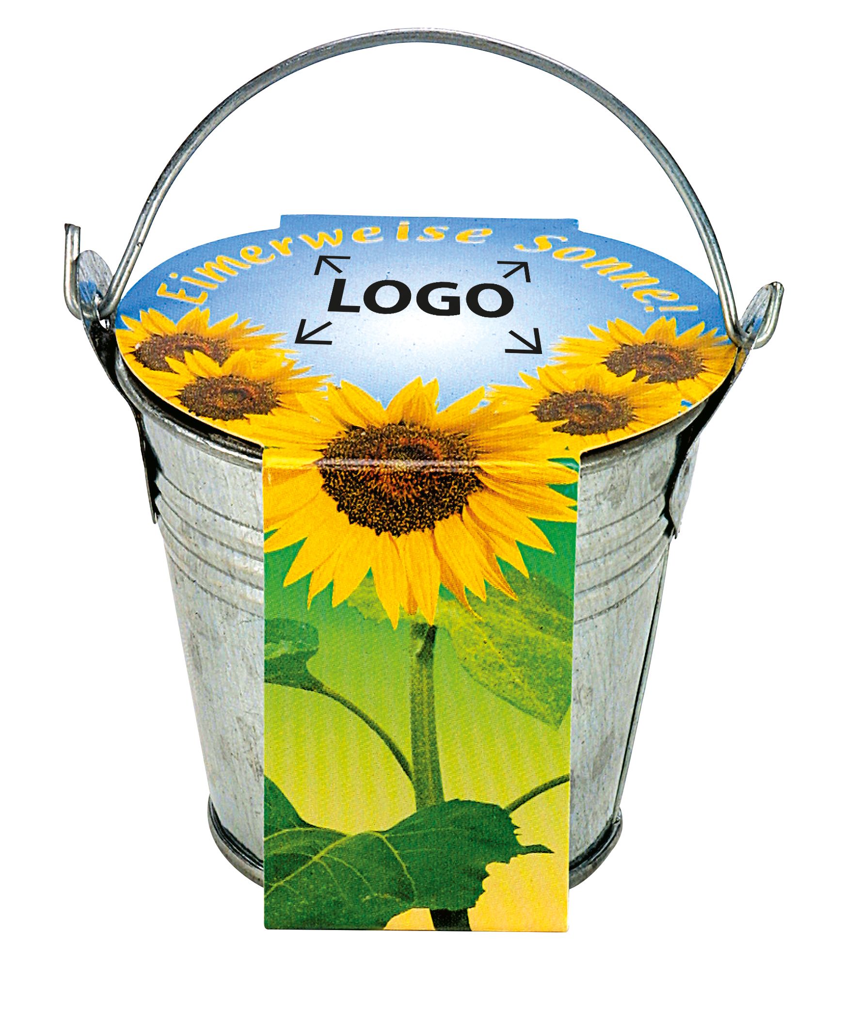 auf die Banderole (24,0 x 6,0 cm)