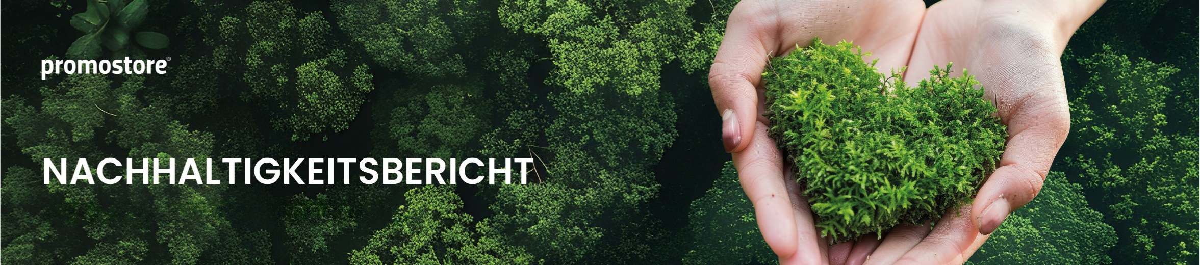 Nachhaltigkeitsbericht 2025 Nachhaltigkeitsbericht 2025